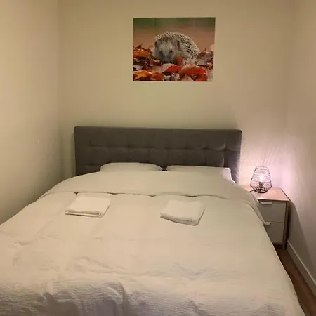 بيت للعطل De Spitse Egel: Ontdek De Pareltjes In De Natuur!