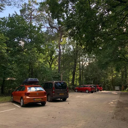 De Spitse Egel: Ontdek De Pareltjes In De Natuur! Dom wakacyjny Otterlo