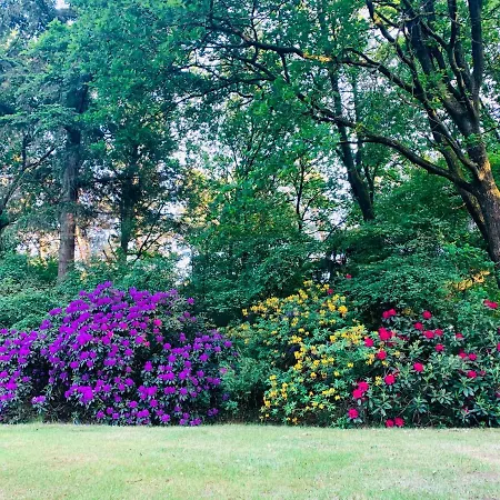 Ferienhaus De Spitse Egel: Ontdek De Pareltjes In De Natuur!