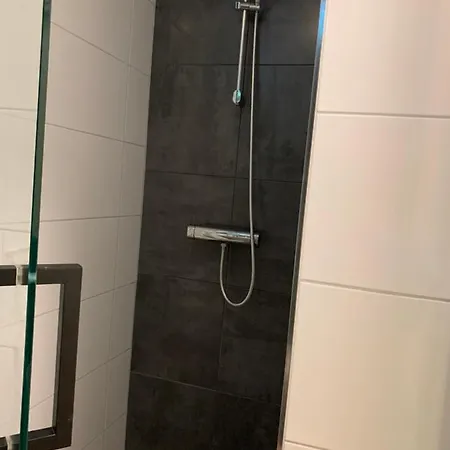 De Spitse Egel: Ontdek De Pareltjes In De Natuur!