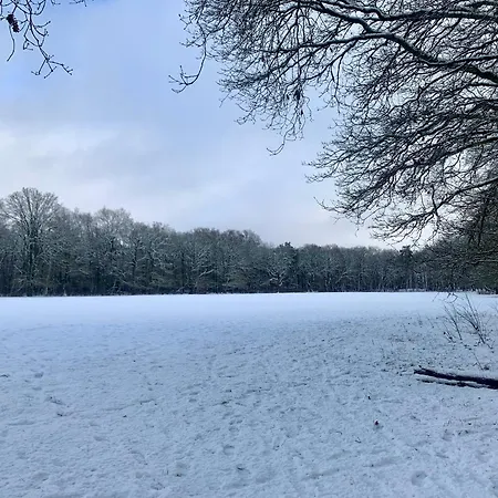 De Spitse Egel: Ontdek De Pareltjes In De Natuur!