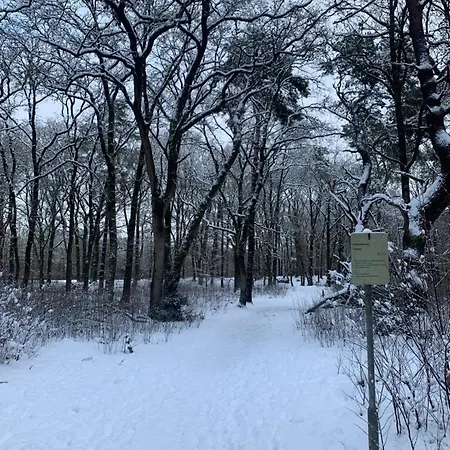 Дом отдыха De Spitse Egel: Ontdek De Pareltjes In De Natuur!