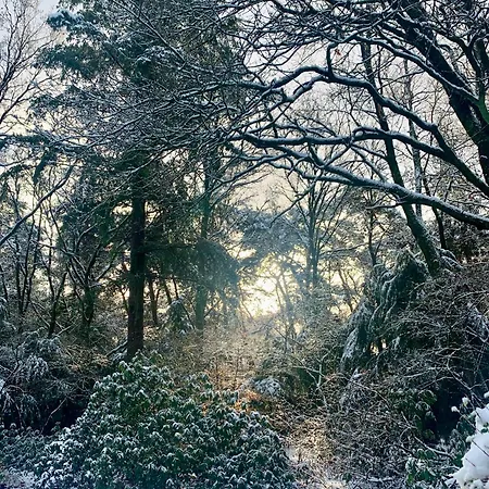 De Spitse Egel: Ontdek De Pareltjes In De Natuur! Otterlo