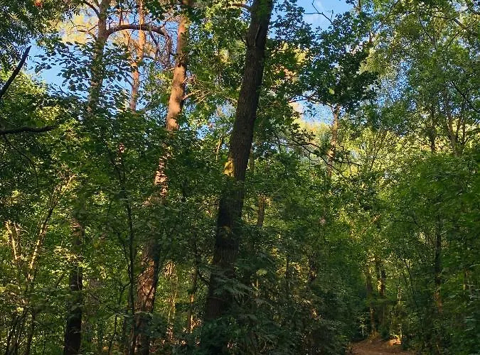 Dom wakacyjny De Spitse Egel: Ontdek De Pareltjes In De Natuur! Otterlo