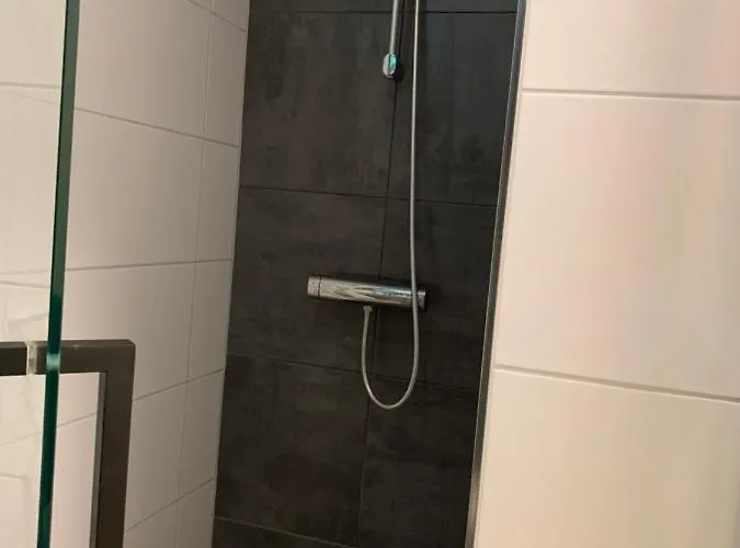 De Spitse Egel: Ontdek De Pareltjes In De Natuur!