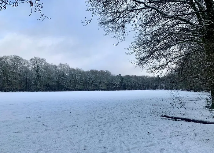 De Spitse Egel: Ontdek De Pareltjes In De Natuur!