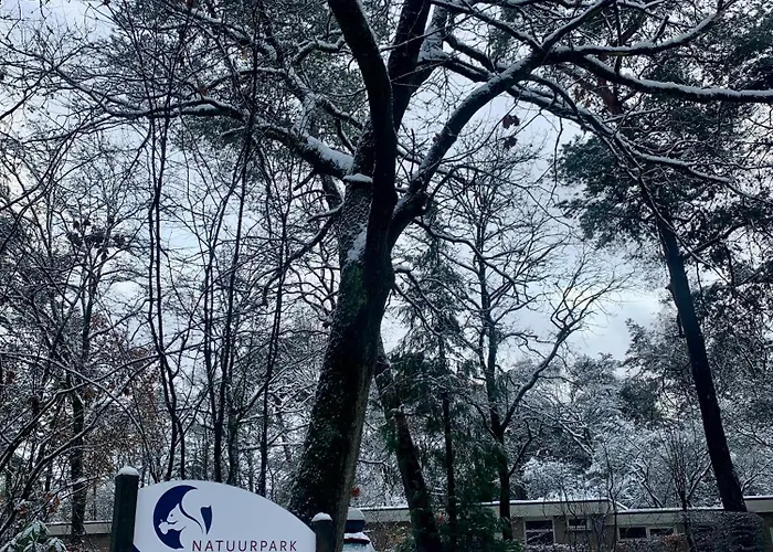 De Spitse Egel: Ontdek De Pareltjes In De Natuur! Otterlo