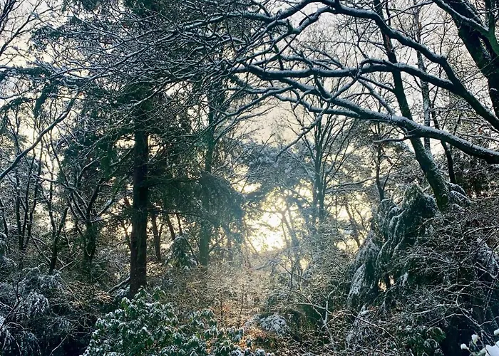 De Spitse Egel: Ontdek De Pareltjes In De Natuur! Otterlo