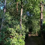 De Spitse Egel: Ontdek De Pareltjes In De Natuur! Casa de Férias