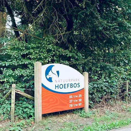 De Spitse Egel: Ontdek De Pareltjes In De Natuur! Holiday home