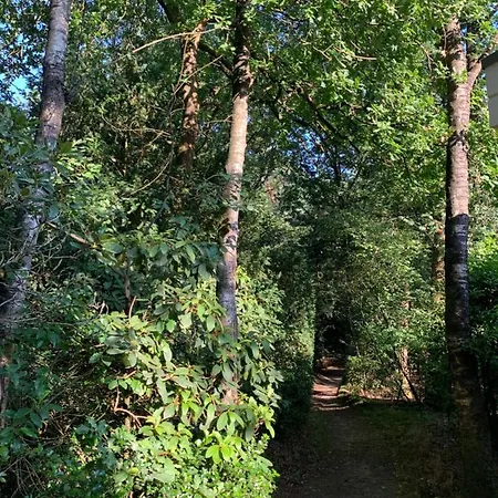 De Spitse Egel: Ontdek De Pareltjes In De Natuur! Holiday home