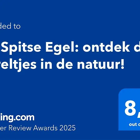 De Spitse Egel: Ontdek De Pareltjes In De Natuur! *