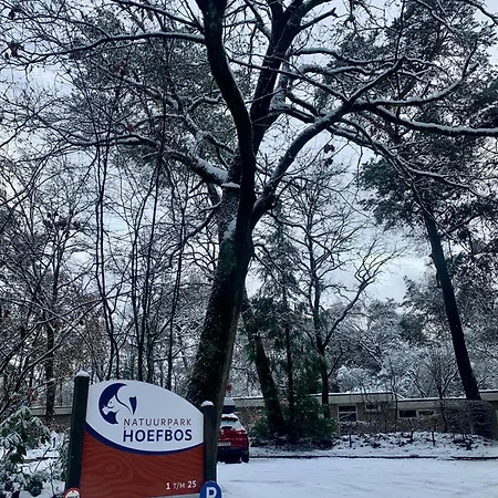 De Spitse Egel: Ontdek De Pareltjes In De Natuur! Otterlo