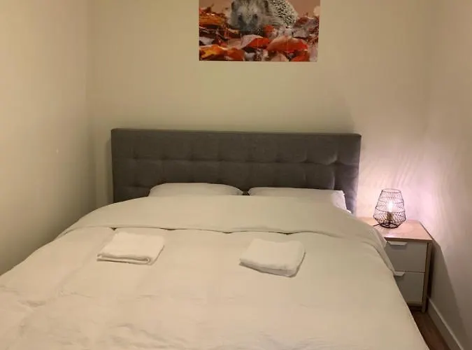 Semesterbostad De Spitse Egel: Ontdek De Pareltjes In De Natuur!