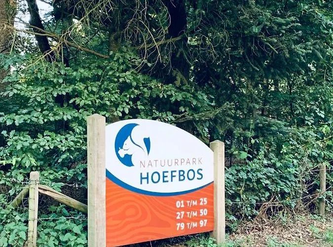 De Spitse Egel: Ontdek De Pareltjes In De Natuur! Semesterbostad