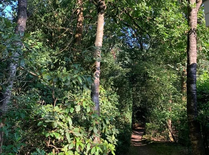 De Spitse Egel: Ontdek De Pareltjes In De Natuur! Semesterbostad