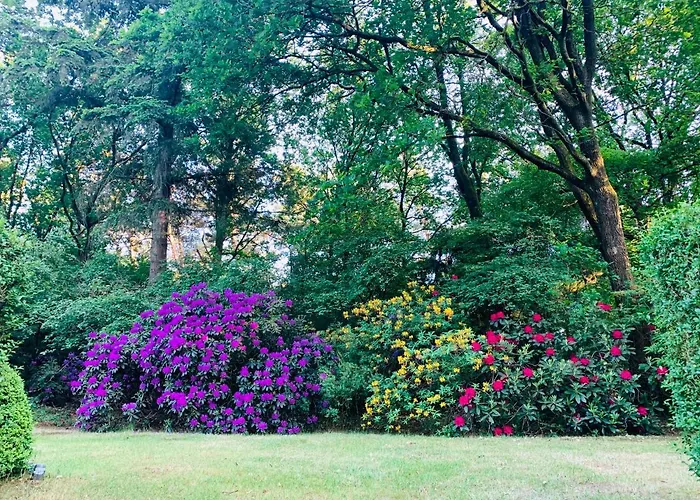 Semesterbostad De Spitse Egel: Ontdek De Pareltjes In De Natuur!