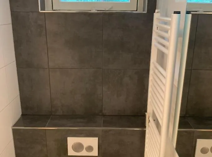 De Spitse Egel: Ontdek De Pareltjes In De Natuur! Semesterbostad