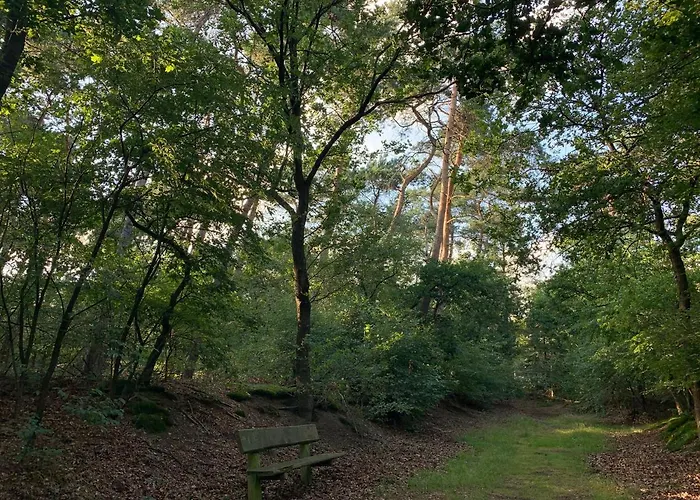 De Spitse Egel: Ontdek De Pareltjes In De Natuur! Semesterbostad *