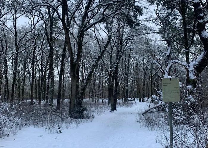 Semesterbostad De Spitse Egel: Ontdek De Pareltjes In De Natuur!